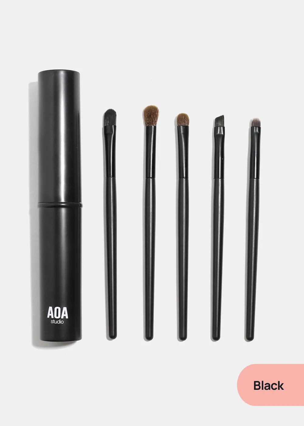 AOA 5PC Travel Brush Set   Case