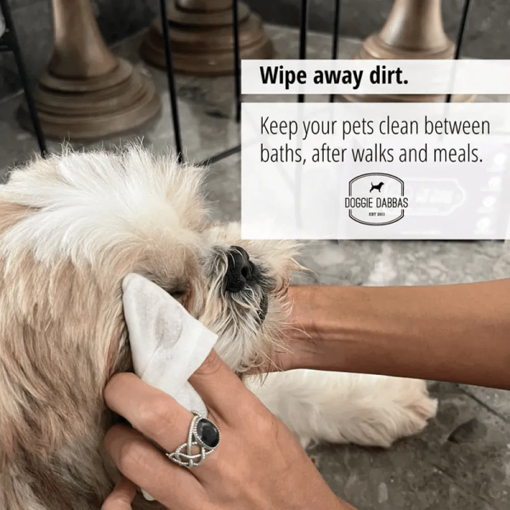 Doggie Dabbas Wipes for Dogs and Cats