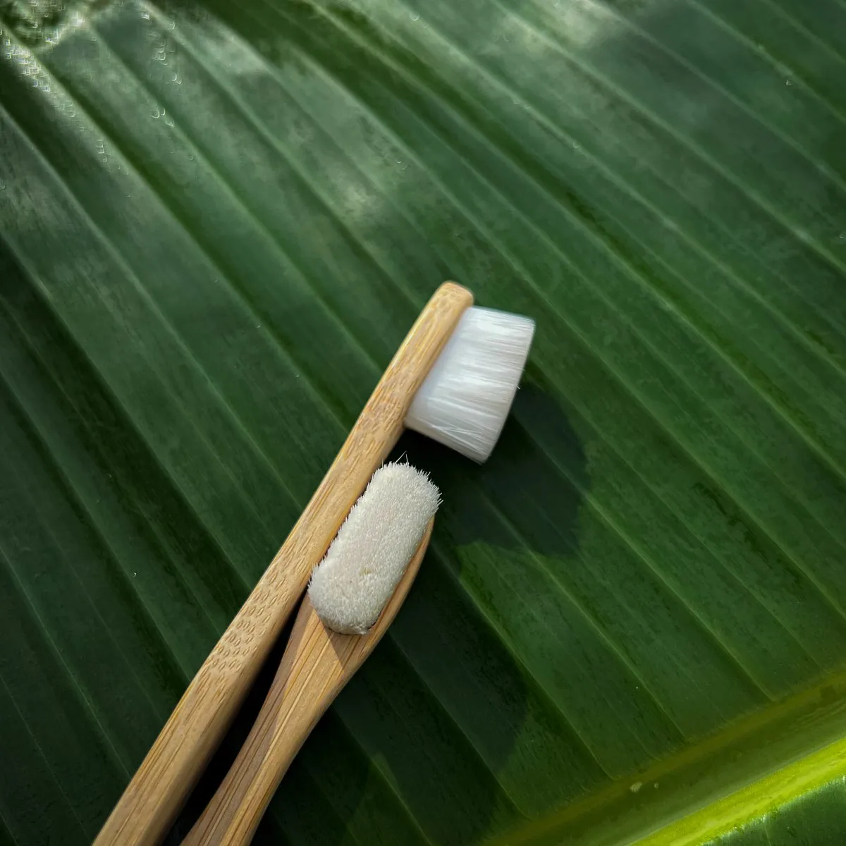 Nano Bambooclean Toothbrush Set | Natural Bamboo Handle | Ultra-Soft Flat Bristles | For Sensitive Gums