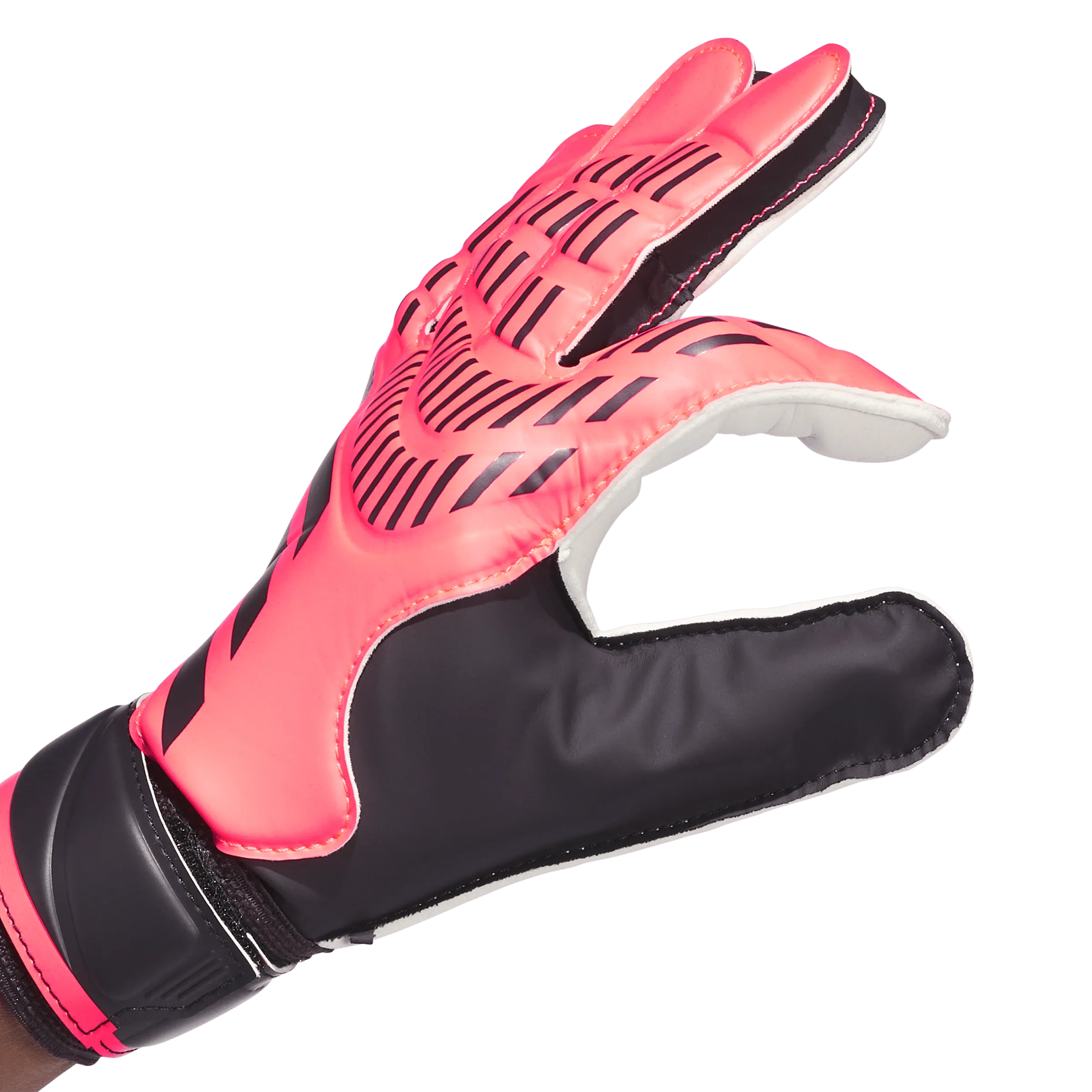 Predator Training Goalkeeper Gloves - Vivid Horizon Pack (IX3871)